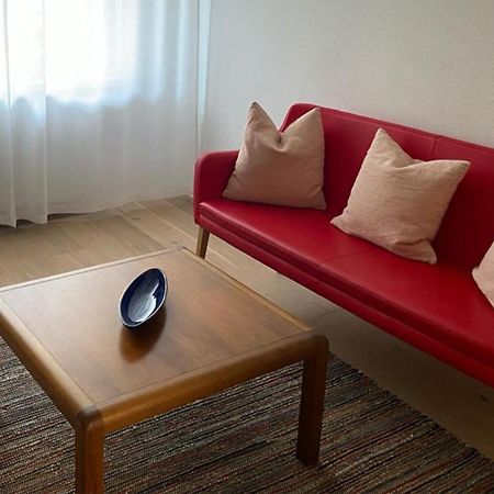 H2 With 3,5 Rooms, 2Br, Living Room And Kitchen, Central And Quite Zurich Exterior photo